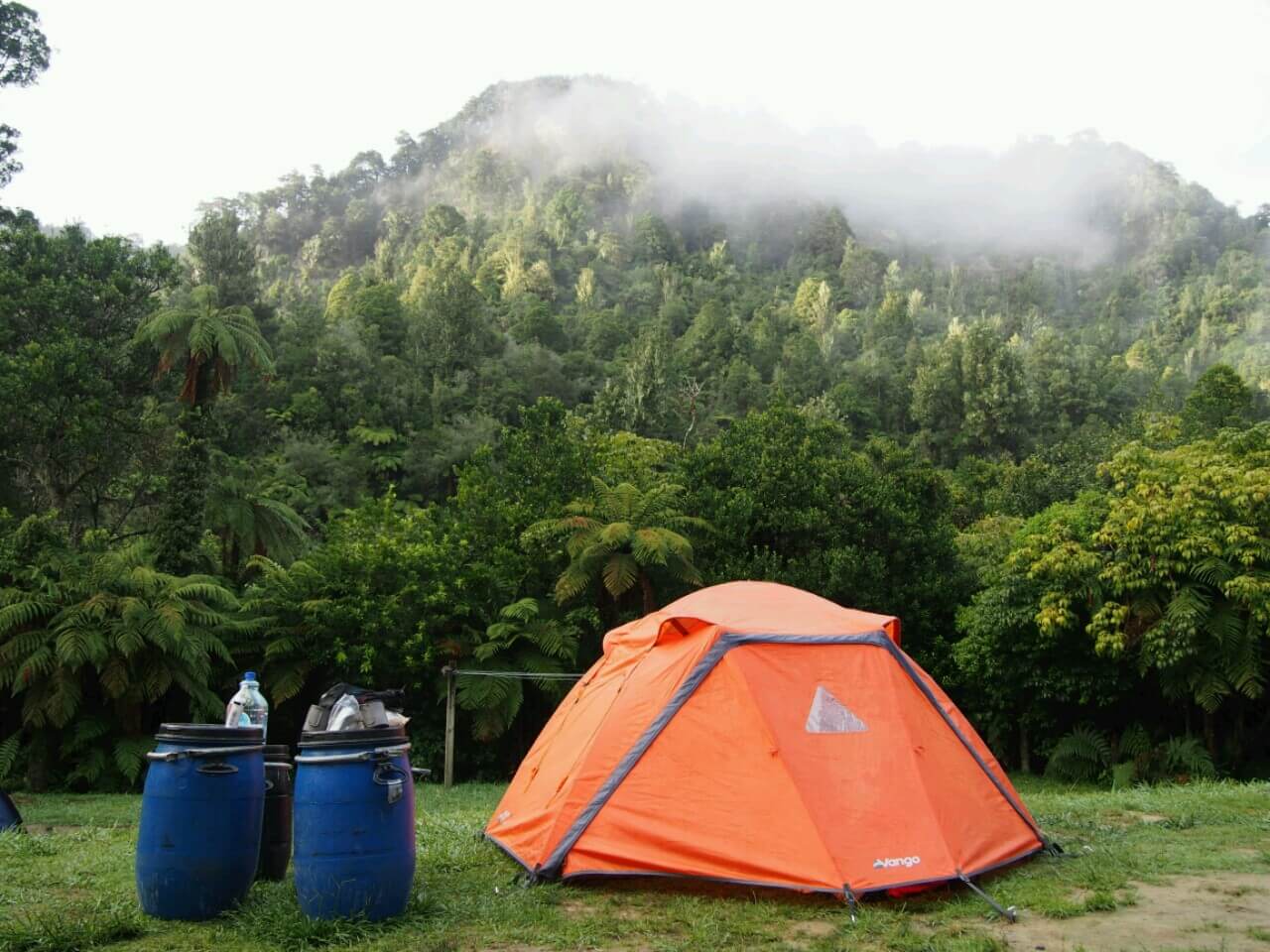 Waking up at John Coull campsite and looking out over the misty jungle
