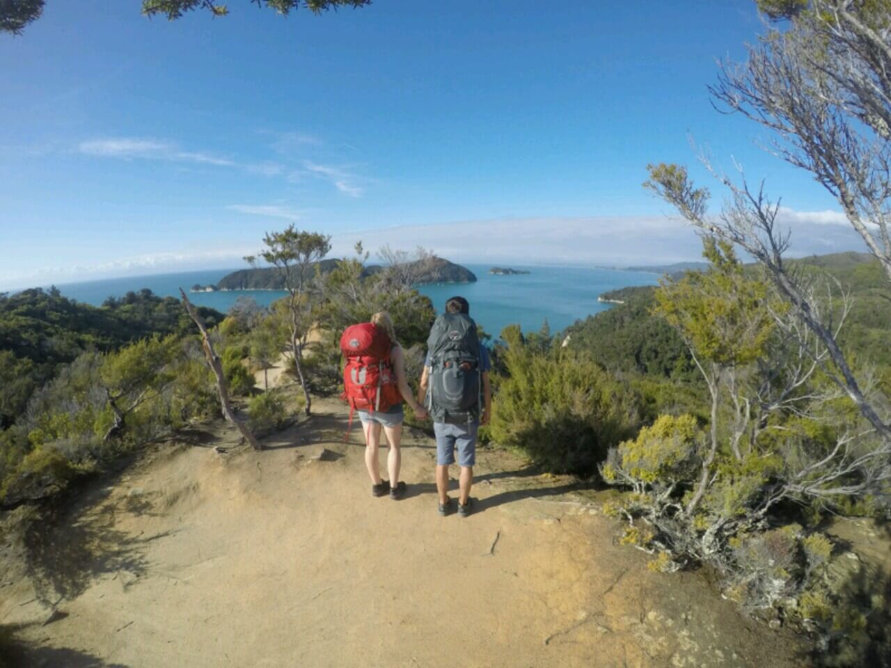 Looking out over Abel Tasman National Park