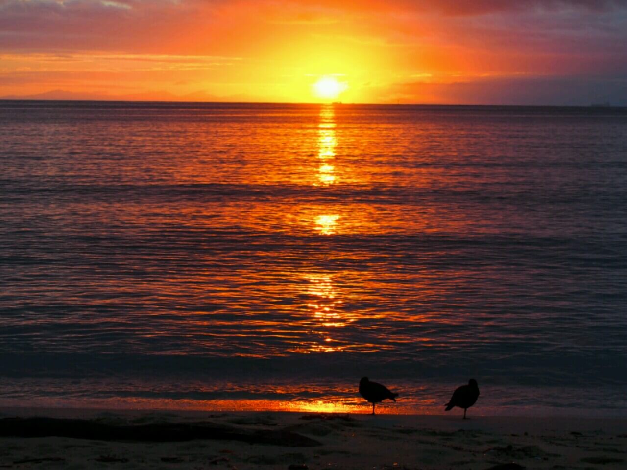 Sunrise from Bark Bay