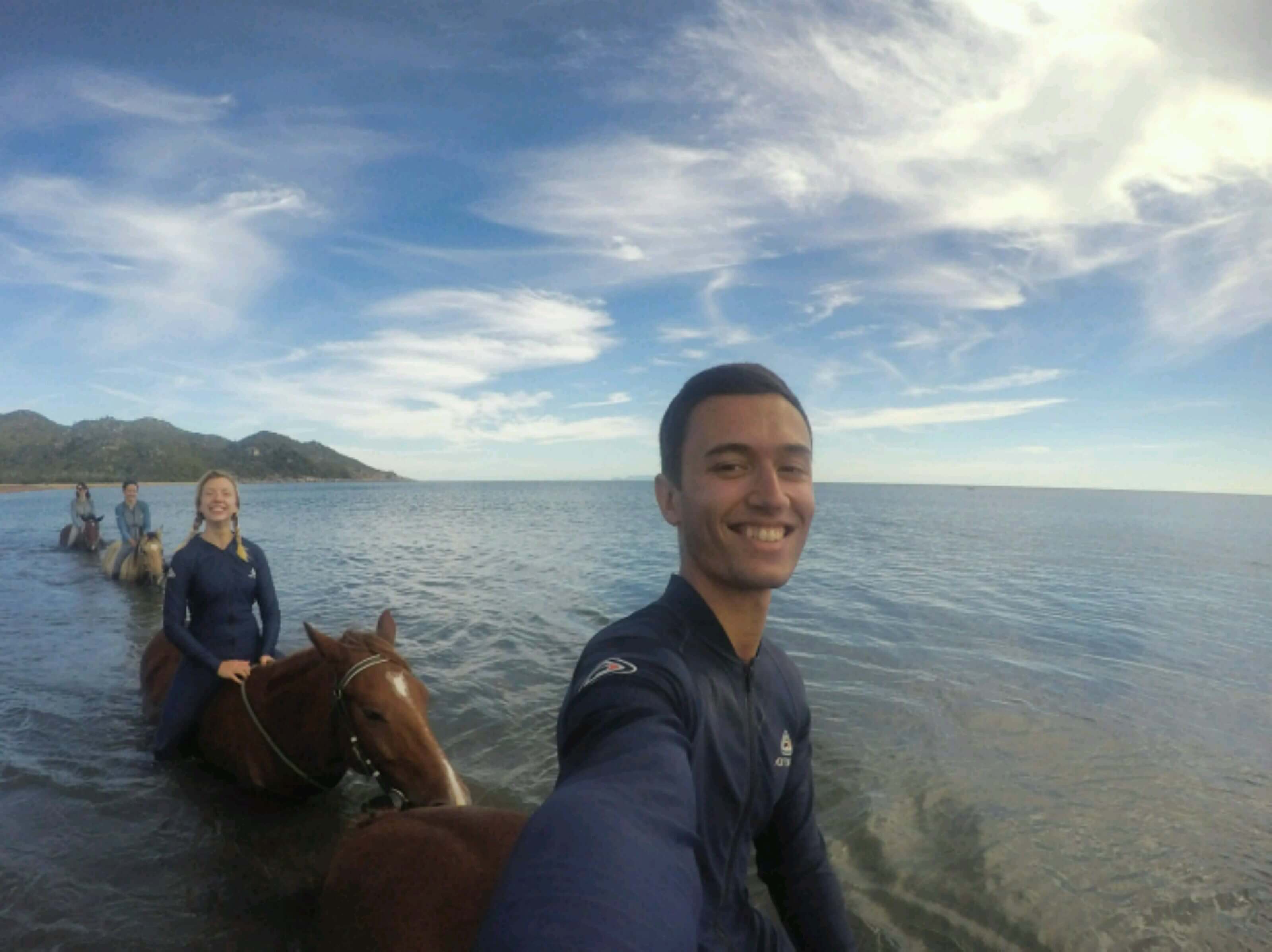 Taking some horses for a swim on Magnetic Island 
