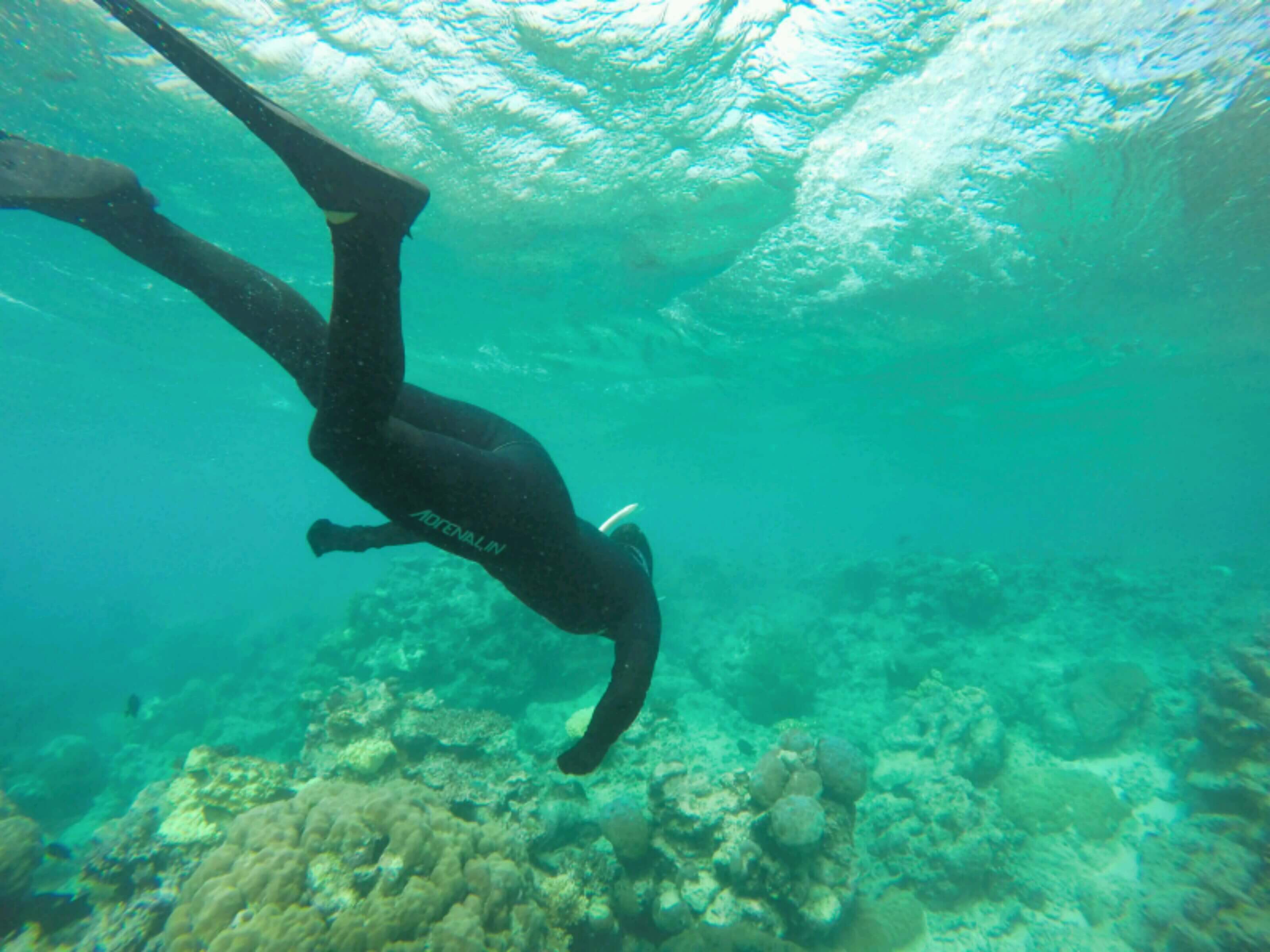 Snorkelling at the Great Barrier Reef