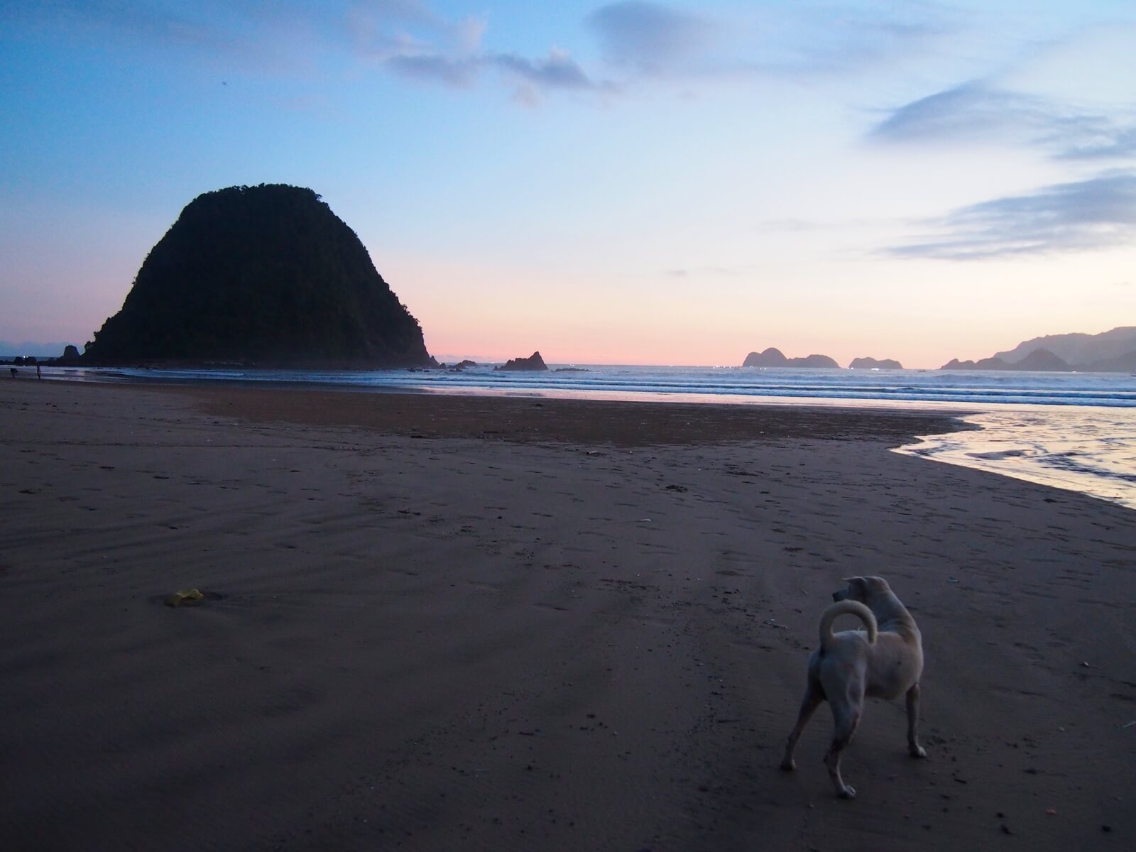Red Island sunset with camp dog