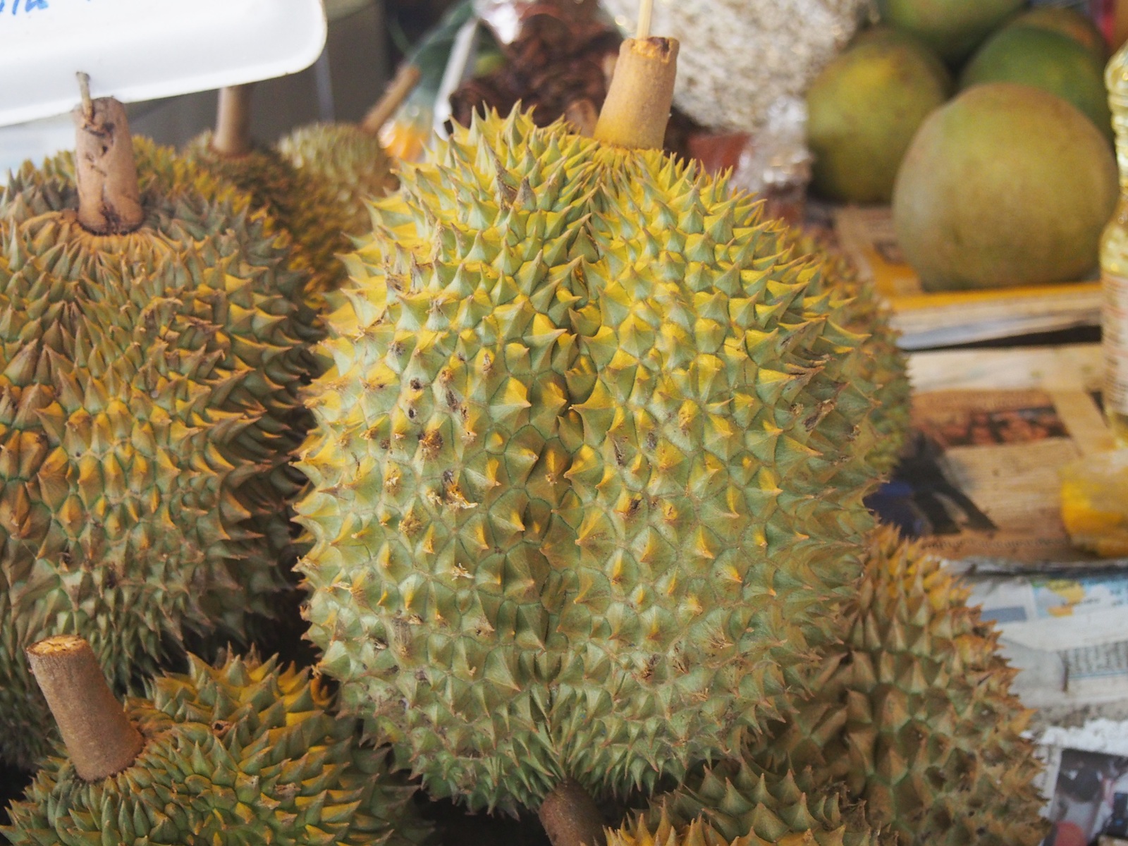 Stinky durian fruit that we were too chicken to eat 