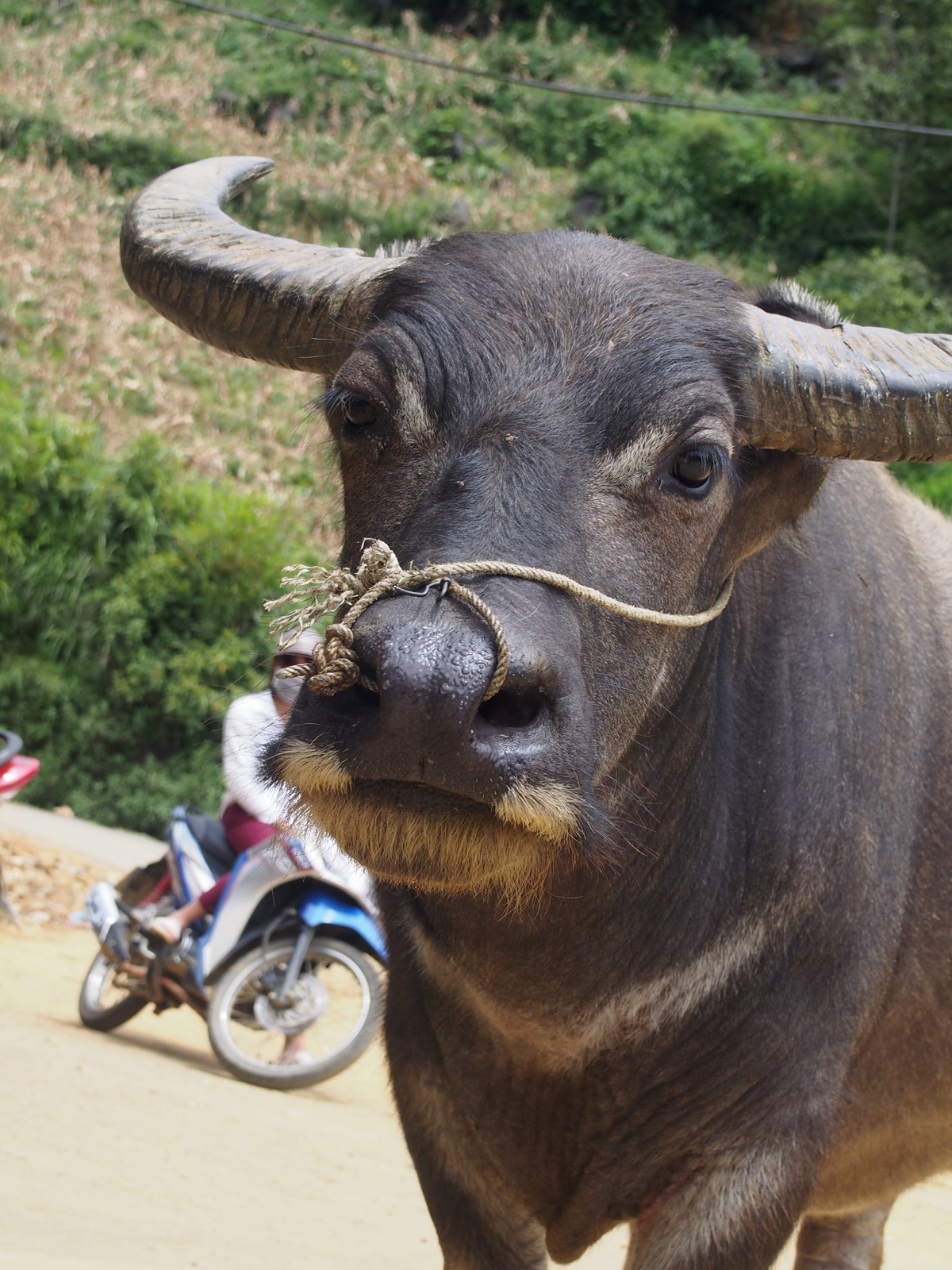 Meeting the locals in Sapa